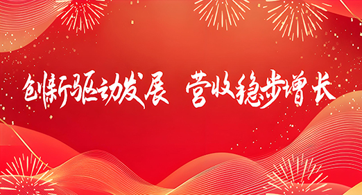 创新驱动发展，营收稳步增长——MYBALL迈博股份2024年年报解读