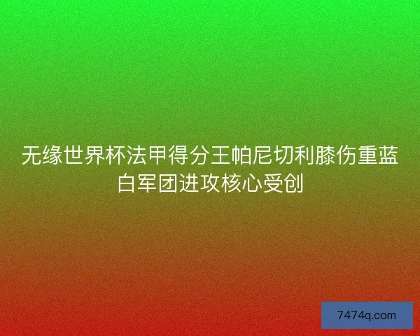 无缘世界杯法甲得分王帕尼切利膝伤重蓝白军团进攻核心受创